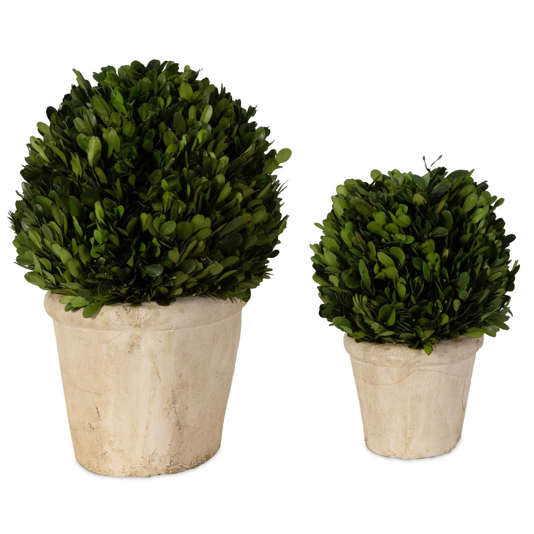 UTTERMOST Oval Domes Preserved Set Of 2 - Decorative Accents