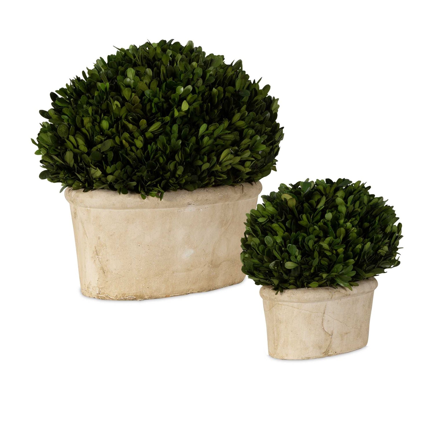 UTTERMOST OVAL DOMES PRESERVED - Decorative Accents