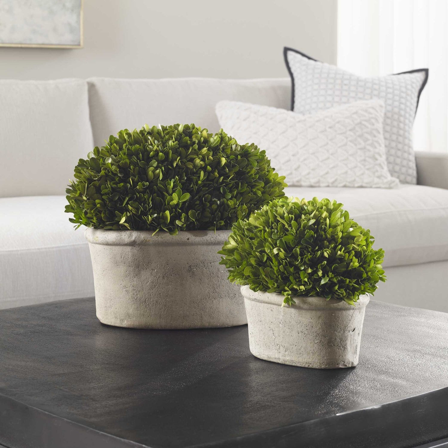 UTTERMOST Oval Domes Preserved Set Of 2 - Decorative Accents
