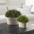 UTTERMOST OVAL DOMES PRESERVED - Decorative Accents