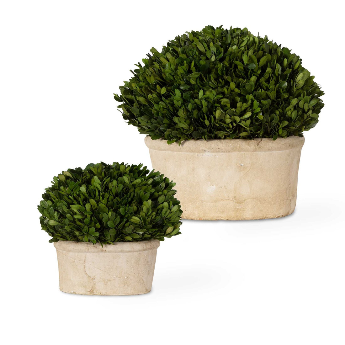 UTTERMOST OVAL DOMES PRESERVED - Decorative Accents