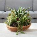 UTTERMOST Salar Succulents - Decorative Accents