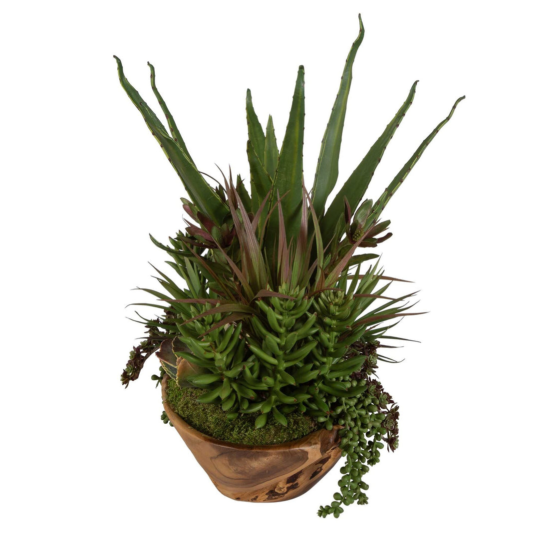 UTTERMOST Salar Succulents - Decorative Accents