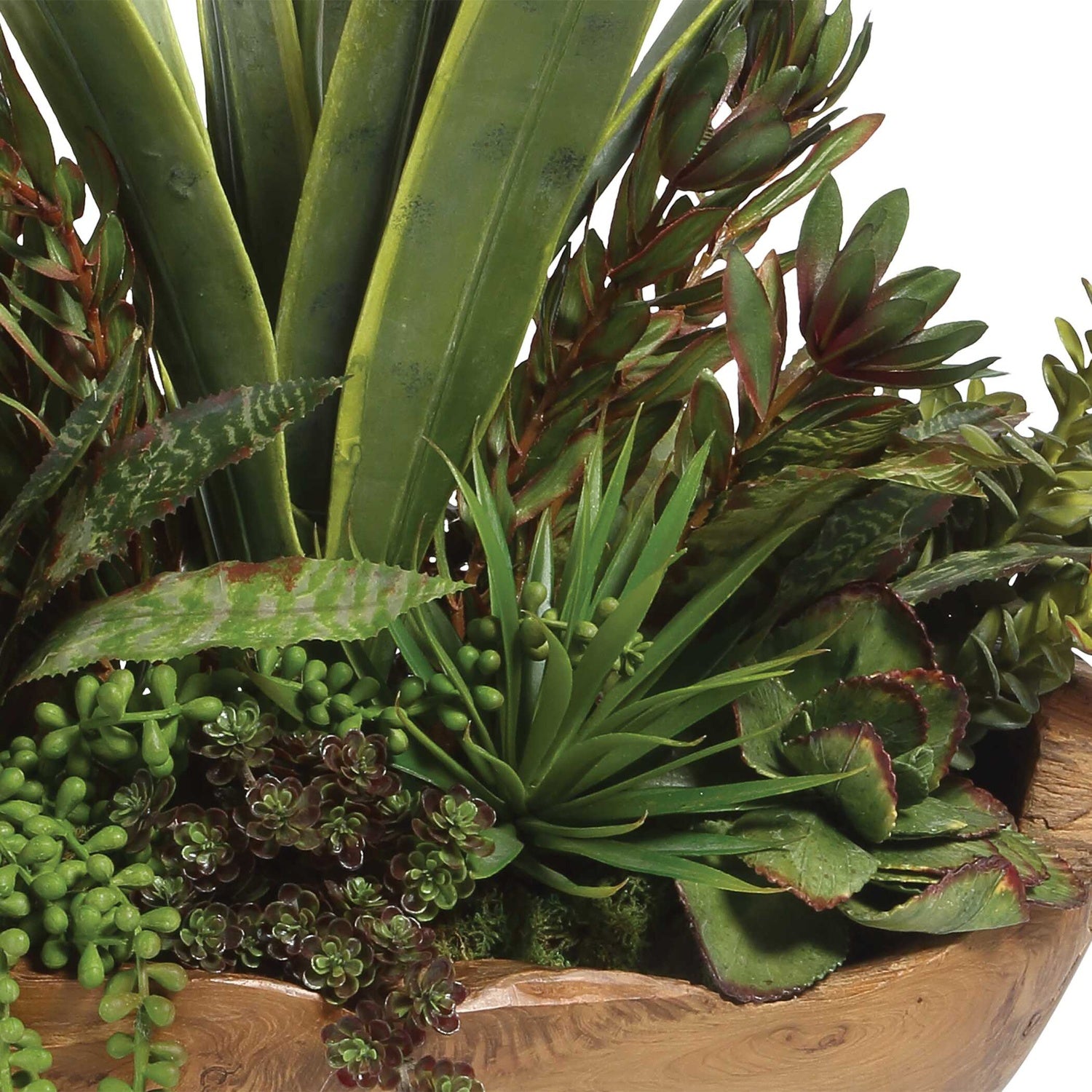 UTTERMOST SALAR SUCCULENTS - Decorative Accents