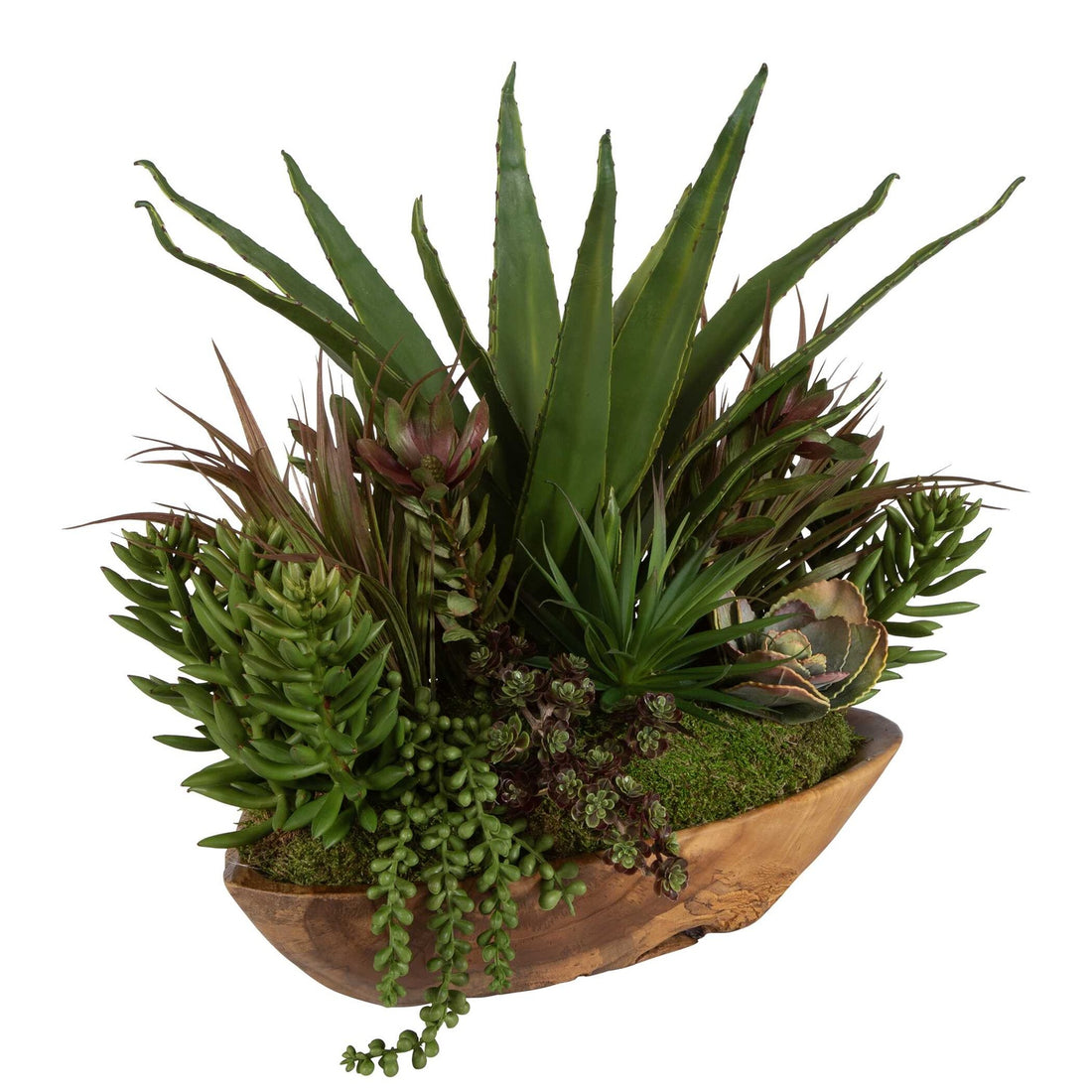 UTTERMOST SALAR SUCCULENTS - Decorative Accents