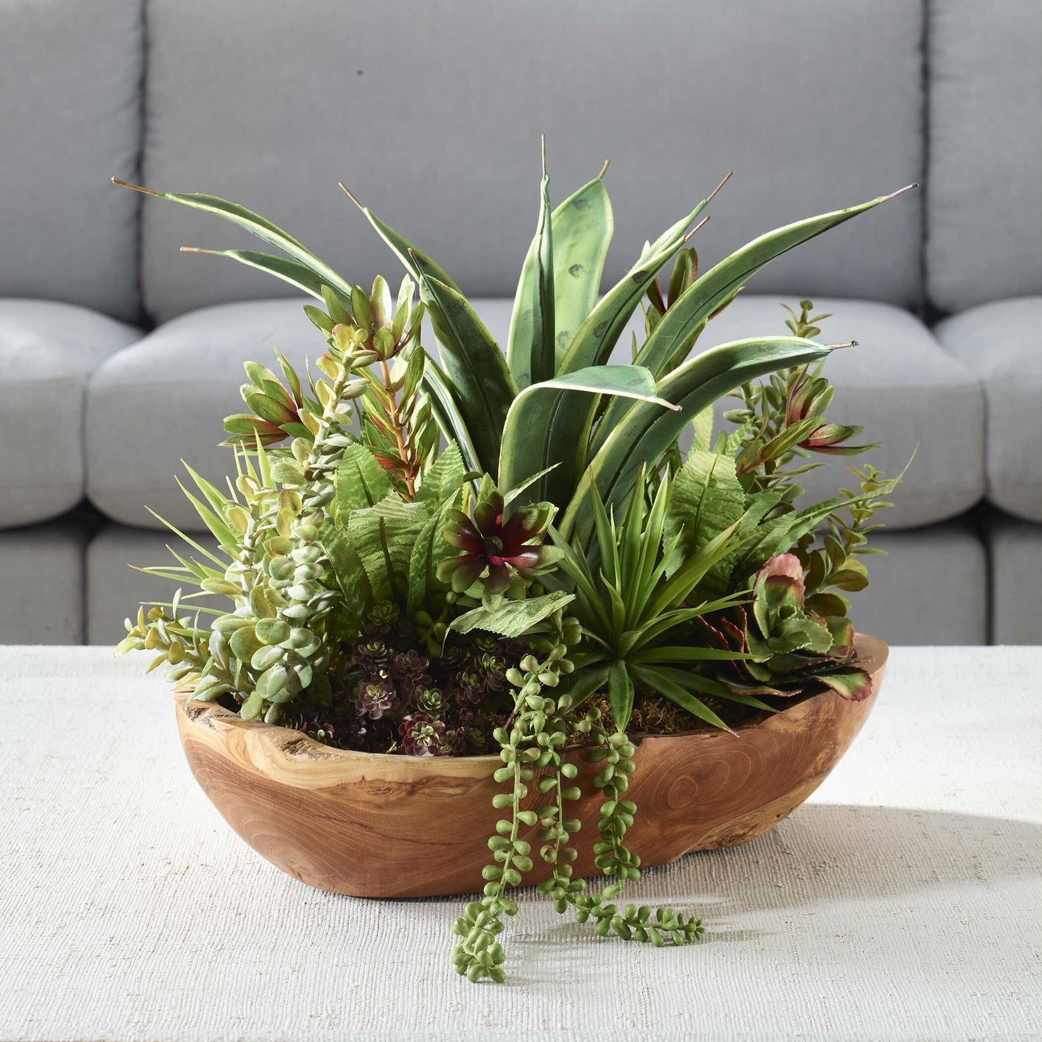 UTTERMOST SALAR SUCCULENTS - Decorative Accents