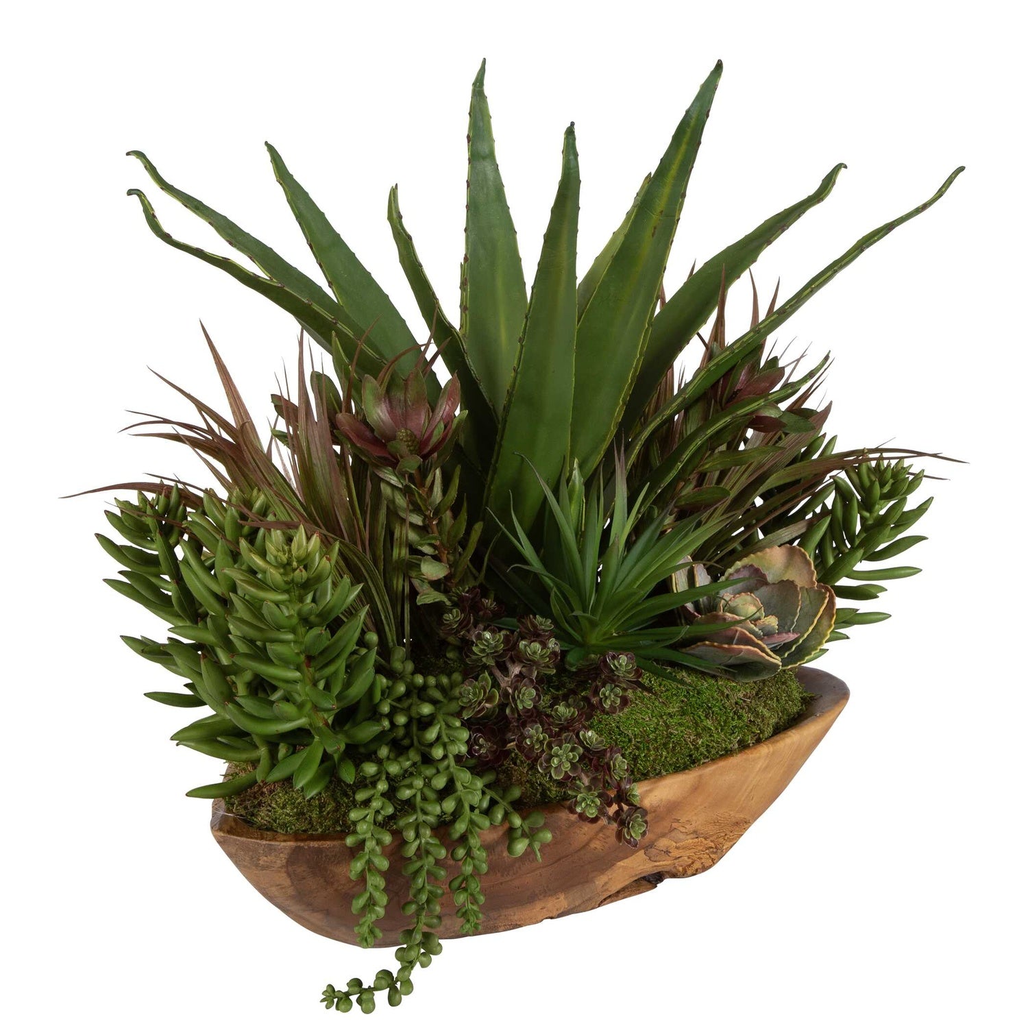 UTTERMOST Salar Succulents - Decorative Accents