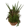 UTTERMOST SALAR SUCCULENTS - Decorative Accents