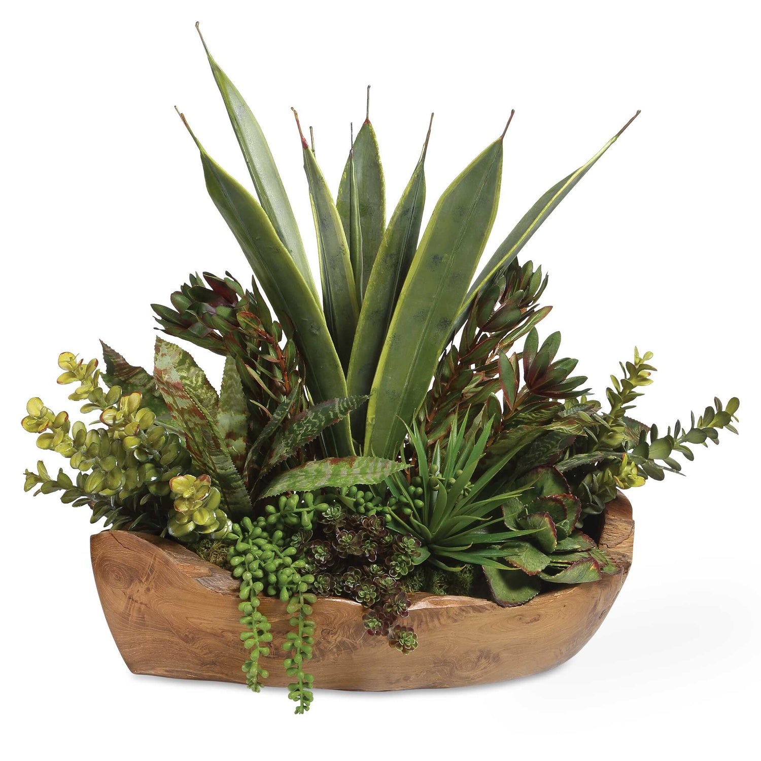 UTTERMOST SALAR SUCCULENTS - Decorative Accents