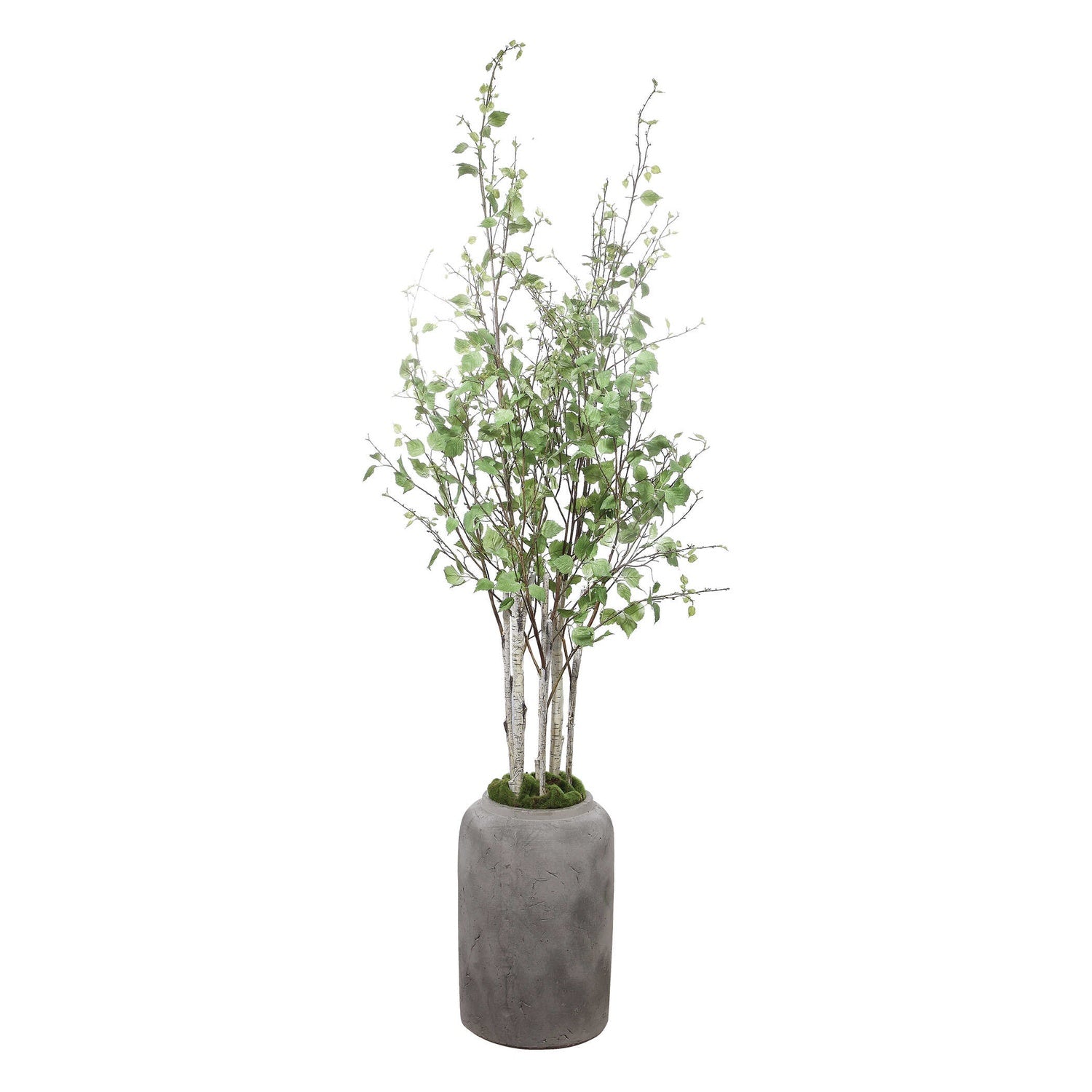 UTTERMOST ALDIS POTTED RIVER - Decorative Accents