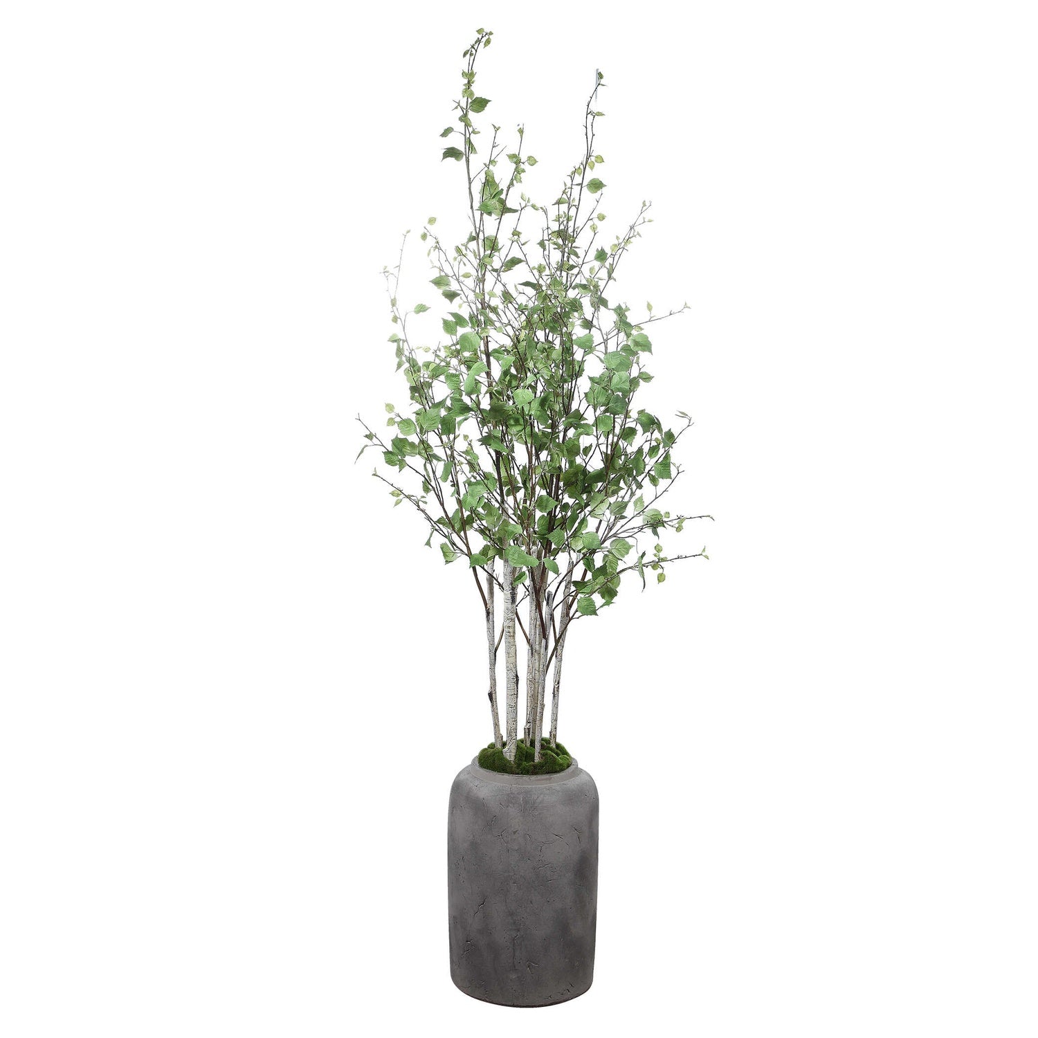 UTTERMOST ALDIS POTTED RIVER - Decorative Accents