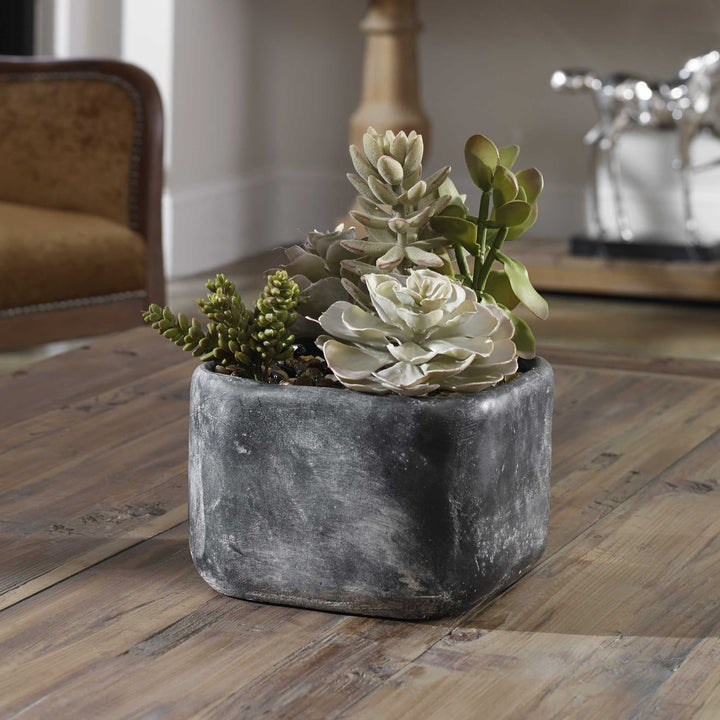 UTTERMOST Alverio Desert Garden Succulents - Decorative Accents