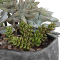 UTTERMOST ALVERIO DESERT GARDEN SUCCULENTS - Decorative Accents
