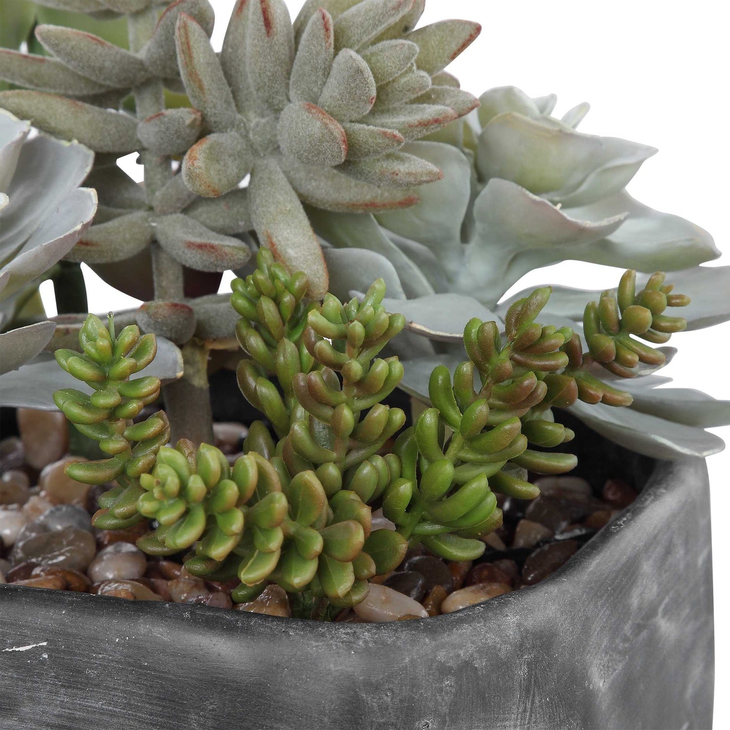 UTTERMOST ALVERIO DESERT GARDEN SUCCULENTS - Decorative Accents