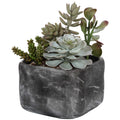 UTTERMOST ALVERIO DESERT GARDEN SUCCULENTS - Decorative Accents