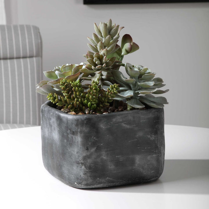 UTTERMOST ALVERIO DESERT GARDEN SUCCULENTS - Decorative Accents