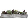 UTTERMOST Charita Lush Succulents - Decorative Accents