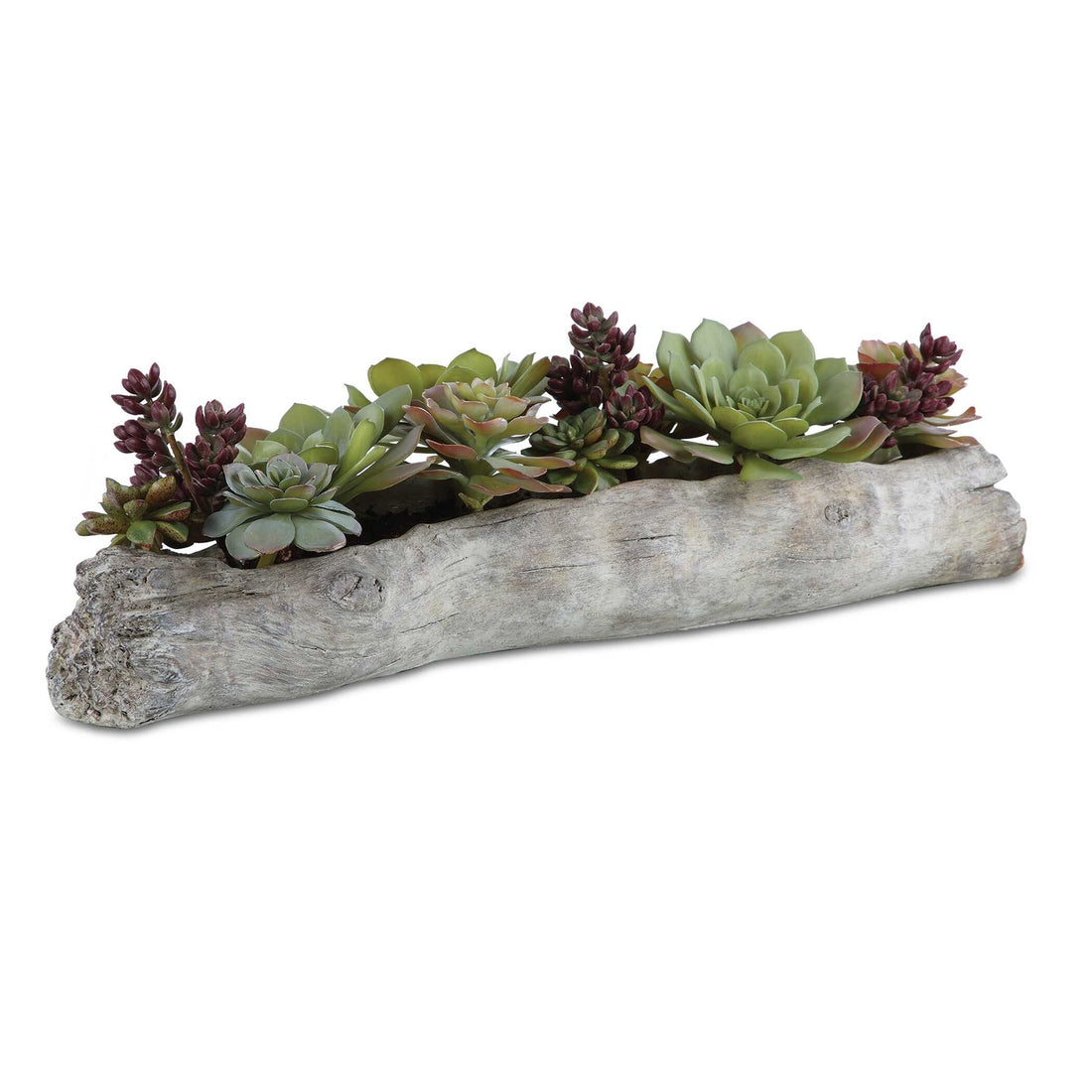 UTTERMOST CHARITA LUSH SUCCULENTS - Decorative Accents