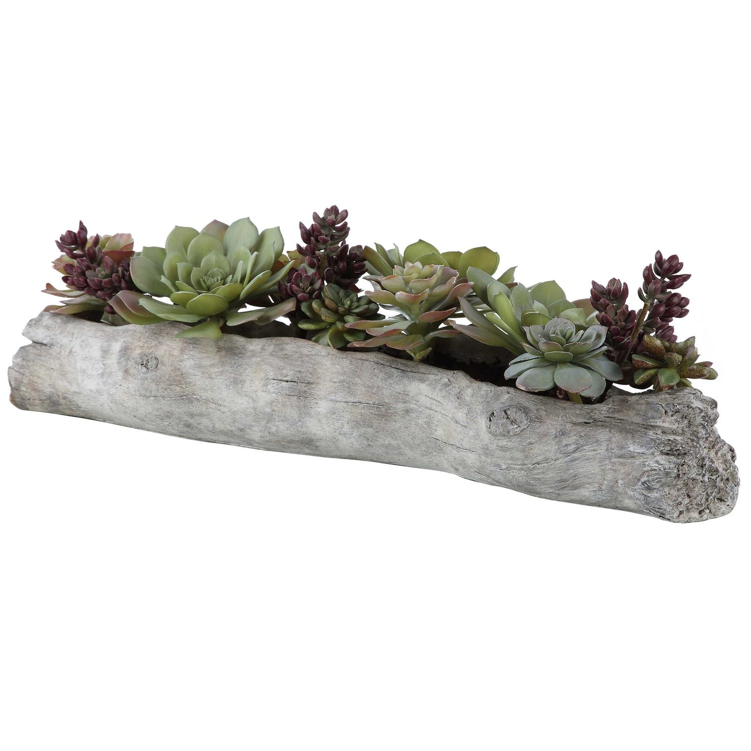 UTTERMOST CHARITA LUSH SUCCULENTS - Decorative Accents