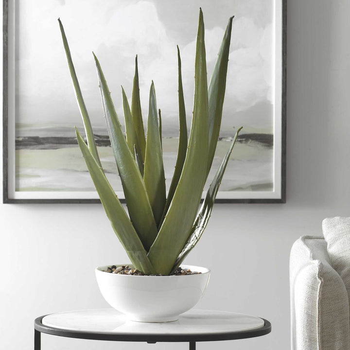 UTTERMOST Evarado Aloe Planter - Decorative Accents