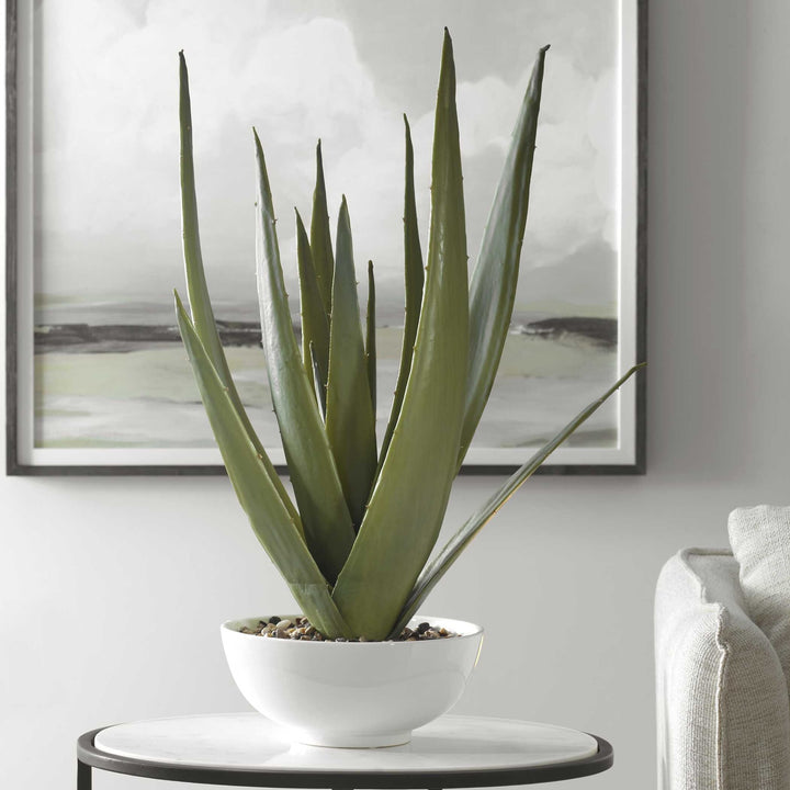 UTTERMOST EVARADO ALOE PLANTER - Decorative Accents