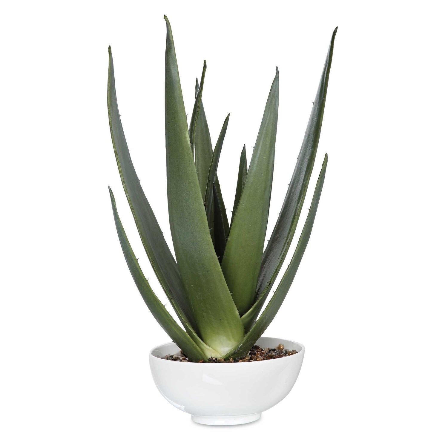 UTTERMOST Evarado Aloe Planter - Decorative Accents