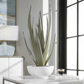 UTTERMOST Evarado Aloe Planter - Decorative Accents