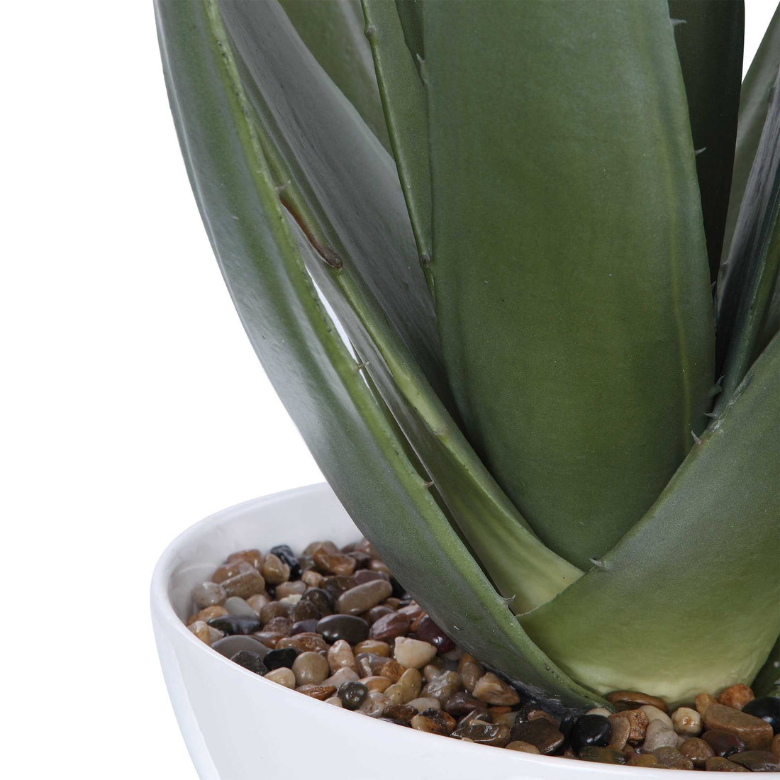 UTTERMOST Evarado Aloe Planter - Decorative Accents