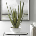 UTTERMOST EVARADO ALOE PLANTER - Decorative Accents