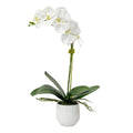 UTTERMOST CAMI ORCHID - Decorative Accents