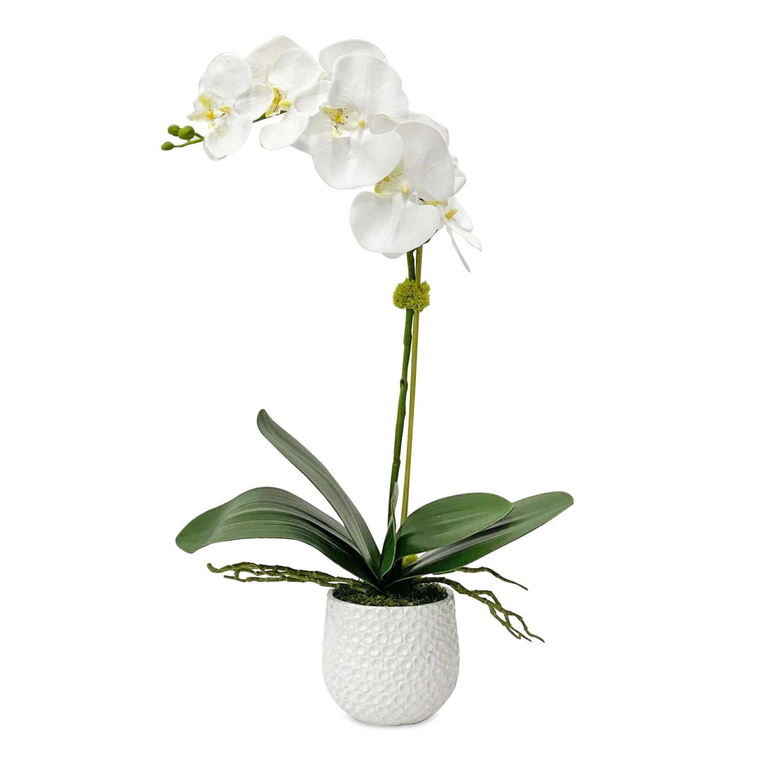 UTTERMOST Cami Orchid - Decorative Accents
