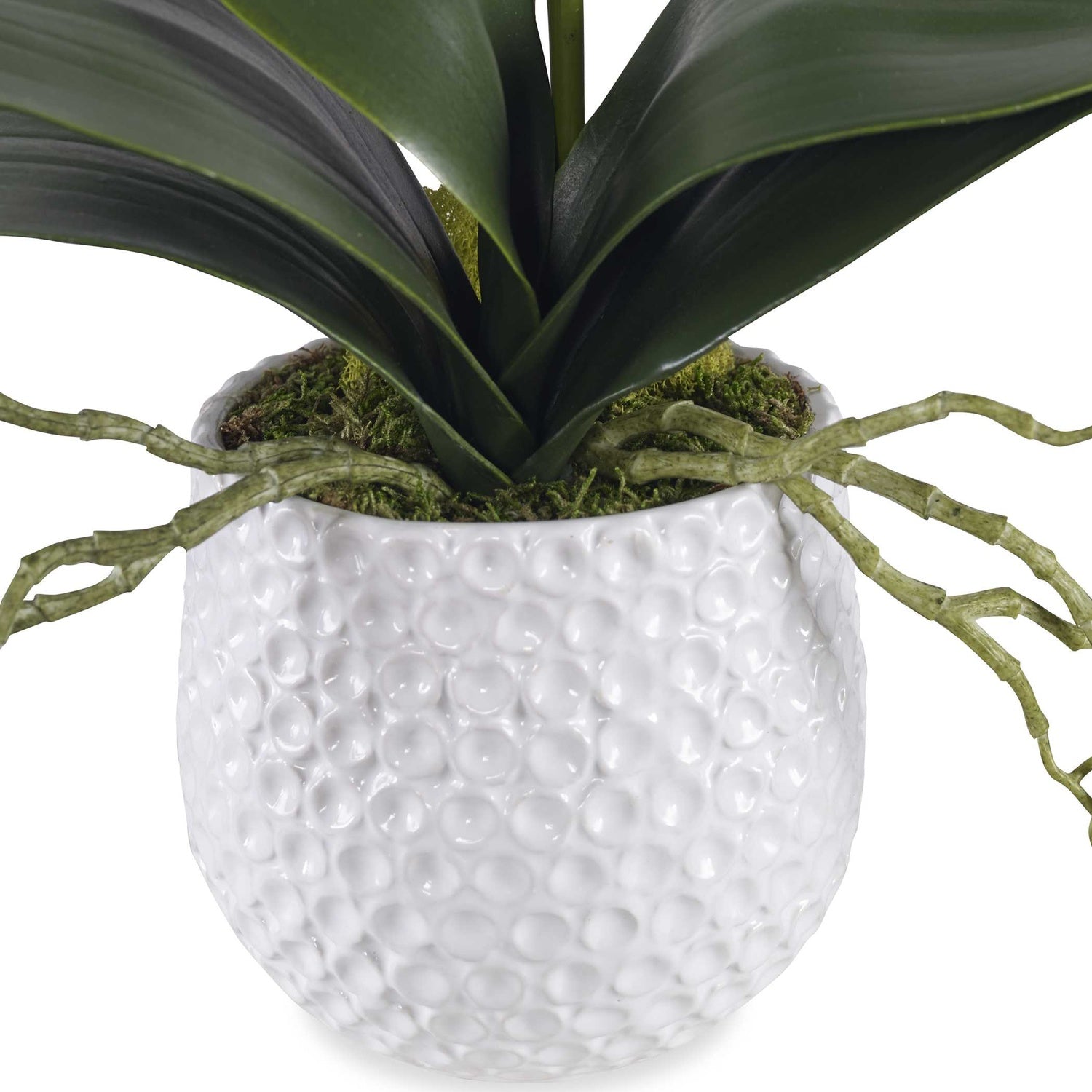 UTTERMOST Cami Orchid - Decorative Accents