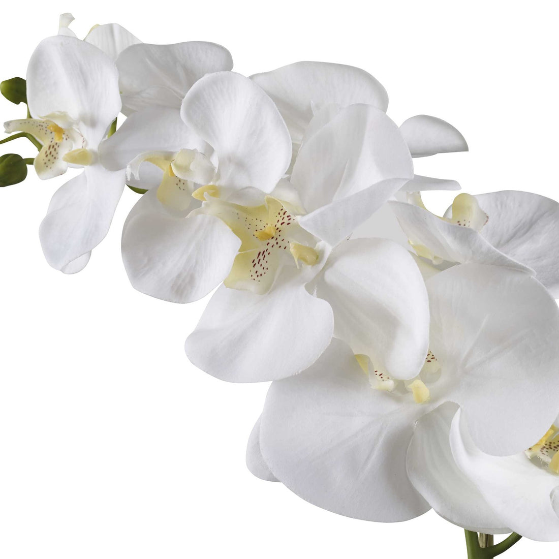 UTTERMOST CAMI ORCHID - Decorative Accents