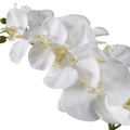 UTTERMOST CAMI ORCHID - Decorative Accents