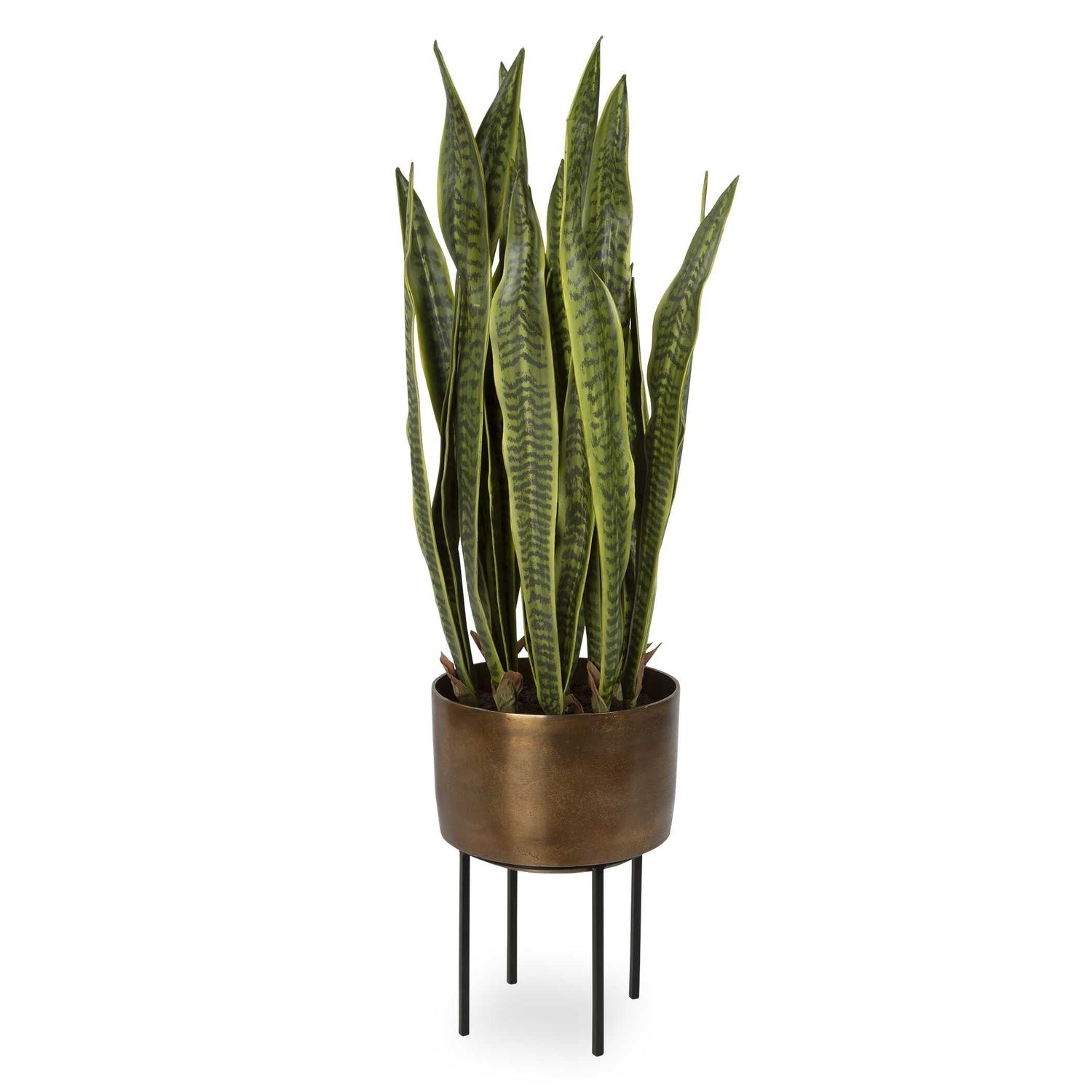 UTTERMOST FASITA PLANTER 2 CARTONS - Decorative Accents