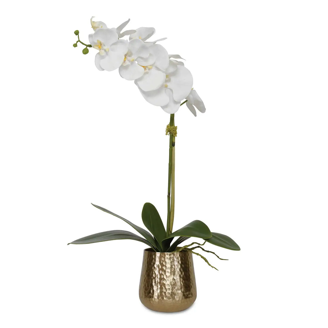 UTTERMOST Cami Orchid - Decorative Accents