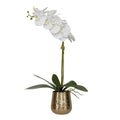 UTTERMOST CAMI ORCHID - Decorative Accents