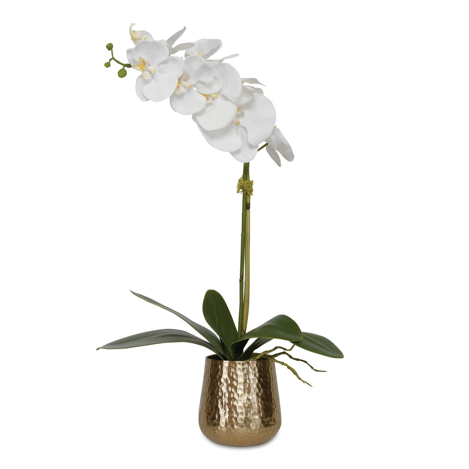UTTERMOST CAMI ORCHID - Decorative Accents