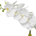 UTTERMOST Cami Orchid - Decorative Accents