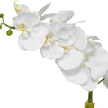 UTTERMOST CAMI ORCHID - Decorative Accents