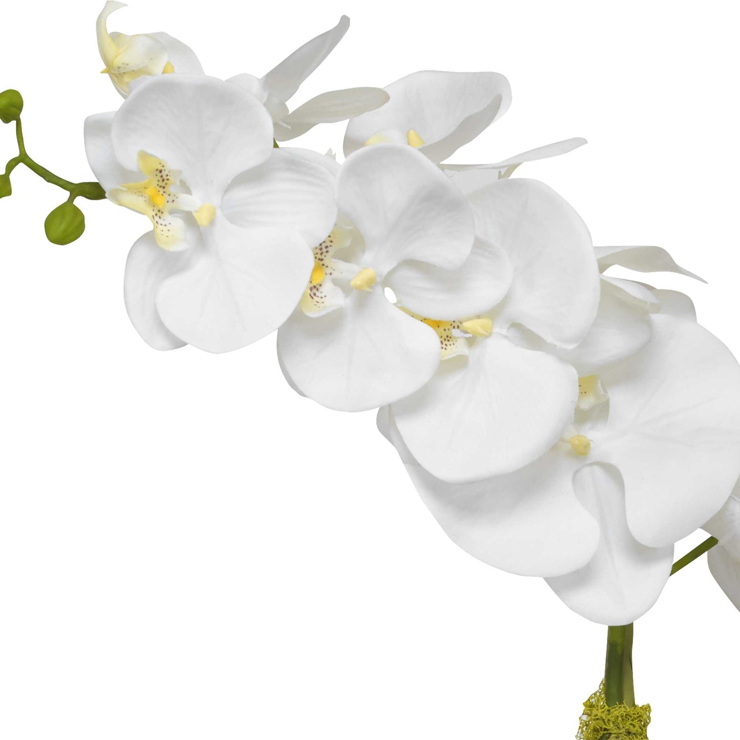 UTTERMOST CAMI ORCHID - Decorative Accents