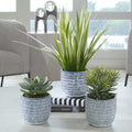 UTTERMOST Puebla - Decorative Accents
