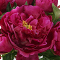 UTTERMOST Prima Peony Bouquet - Decorative Accents