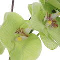 UTTERMOST VALDIVE ORCHID - Decorative Accents
