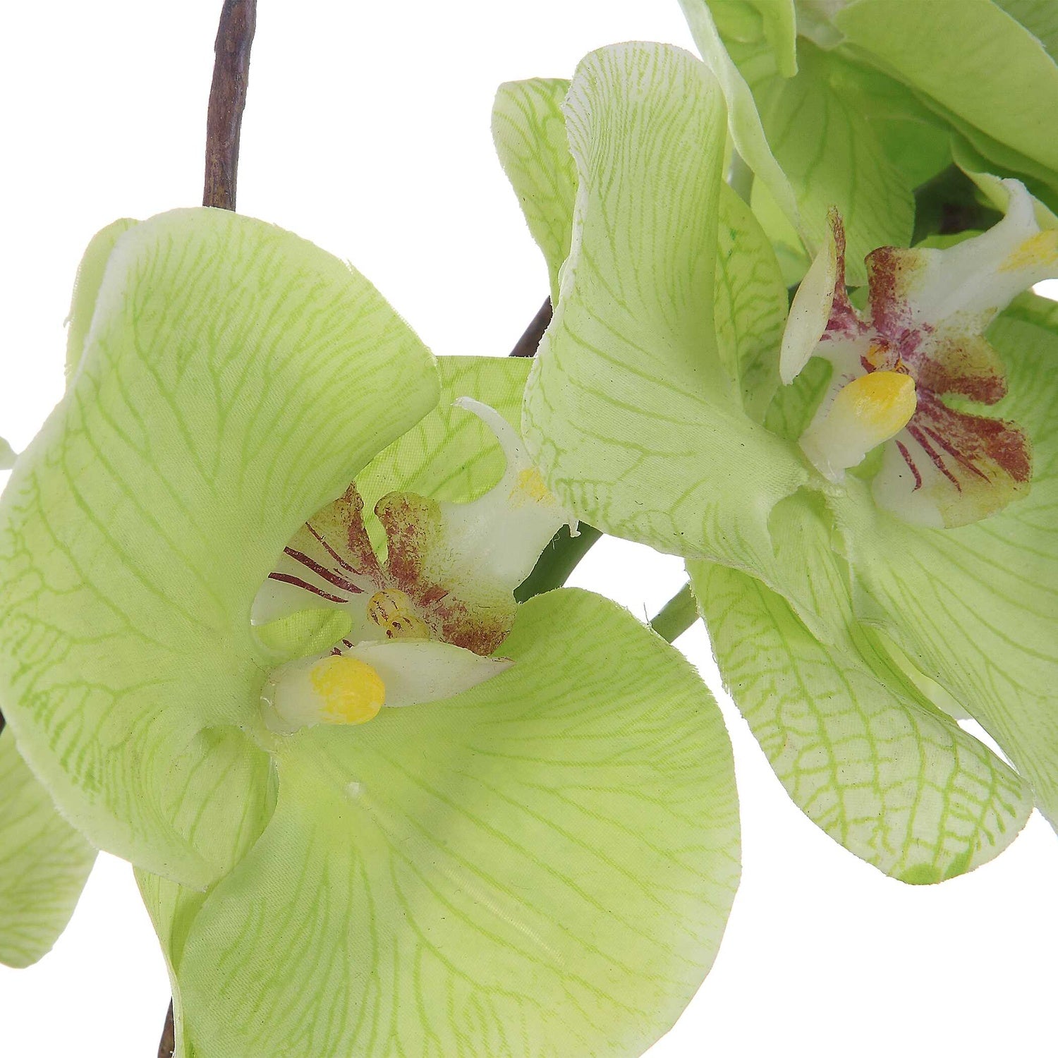 UTTERMOST Valdive Orchid - Decorative Accents