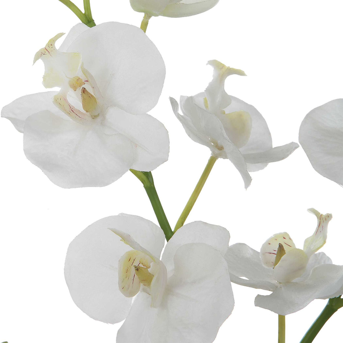 UTTERMOST Glory Orchid - Decorative Accents