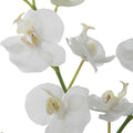 UTTERMOST Glory Orchid - Decorative Accents