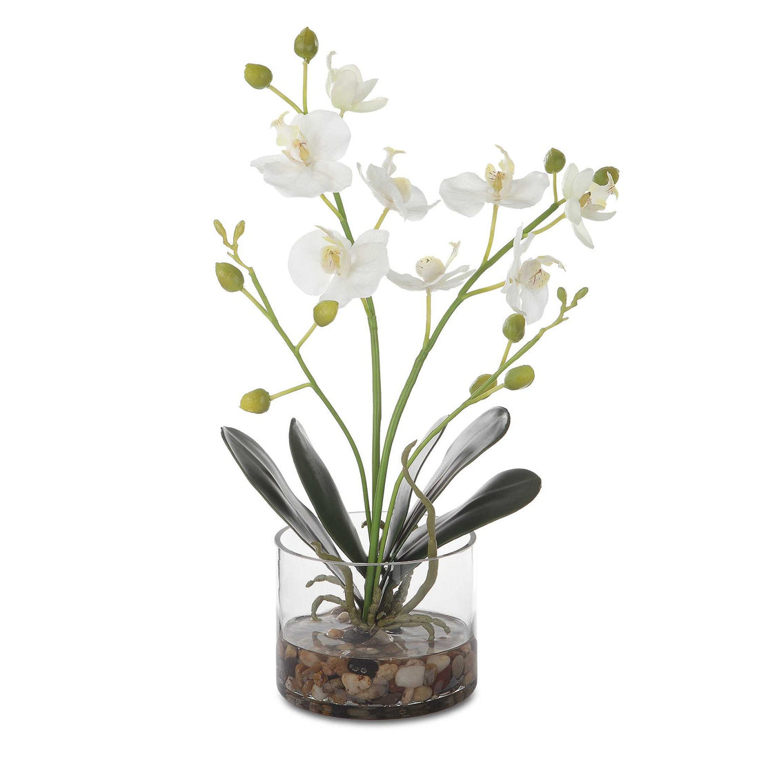 UTTERMOST GLORY ORCHID - Decorative Accents