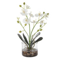 UTTERMOST GLORY ORCHID - Decorative Accents