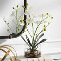 UTTERMOST Glory Orchid - Decorative Accents
